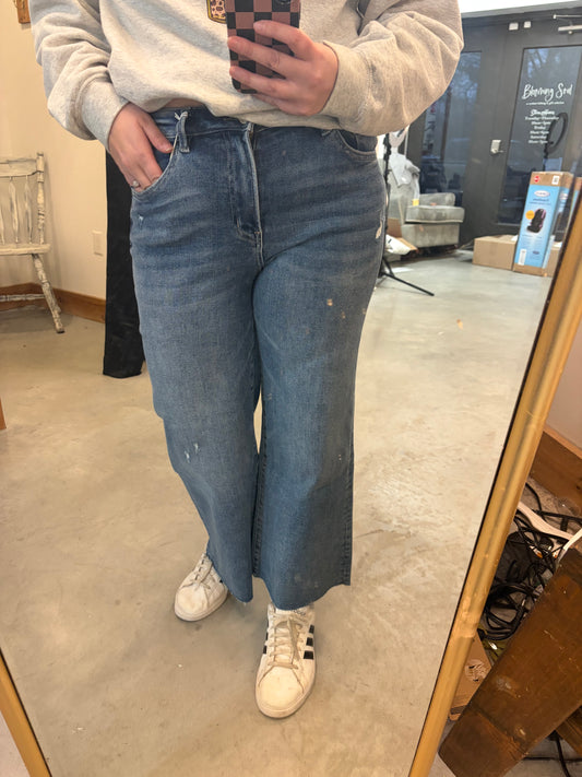 Vervet Wide Leg Raw Hem Denim