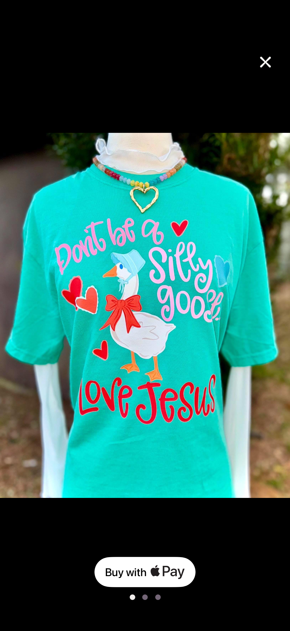 Don't be a silly goose, love jesus