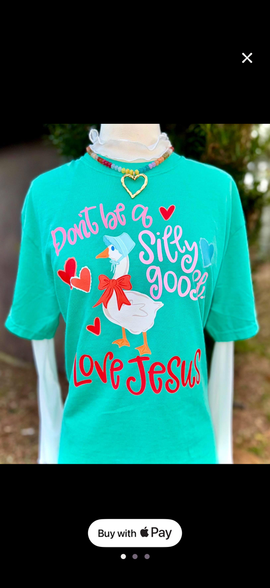 Don't be a silly goose, love jesus